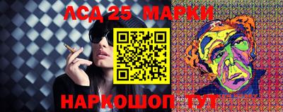 спиды Гатчина