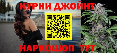 спиды Гатчина