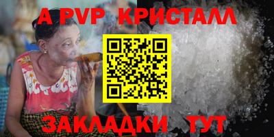 спиды Гатчина