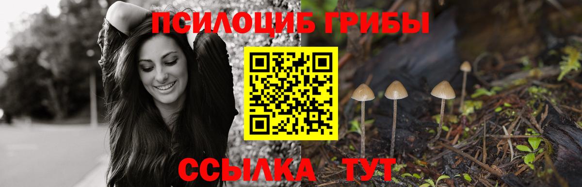 Орёл  Галлюциногенные грибы GOLDEN TEACHER  Вход с VPN 