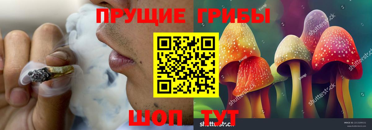 Галлюциногенные грибы Cubensis Орёл
